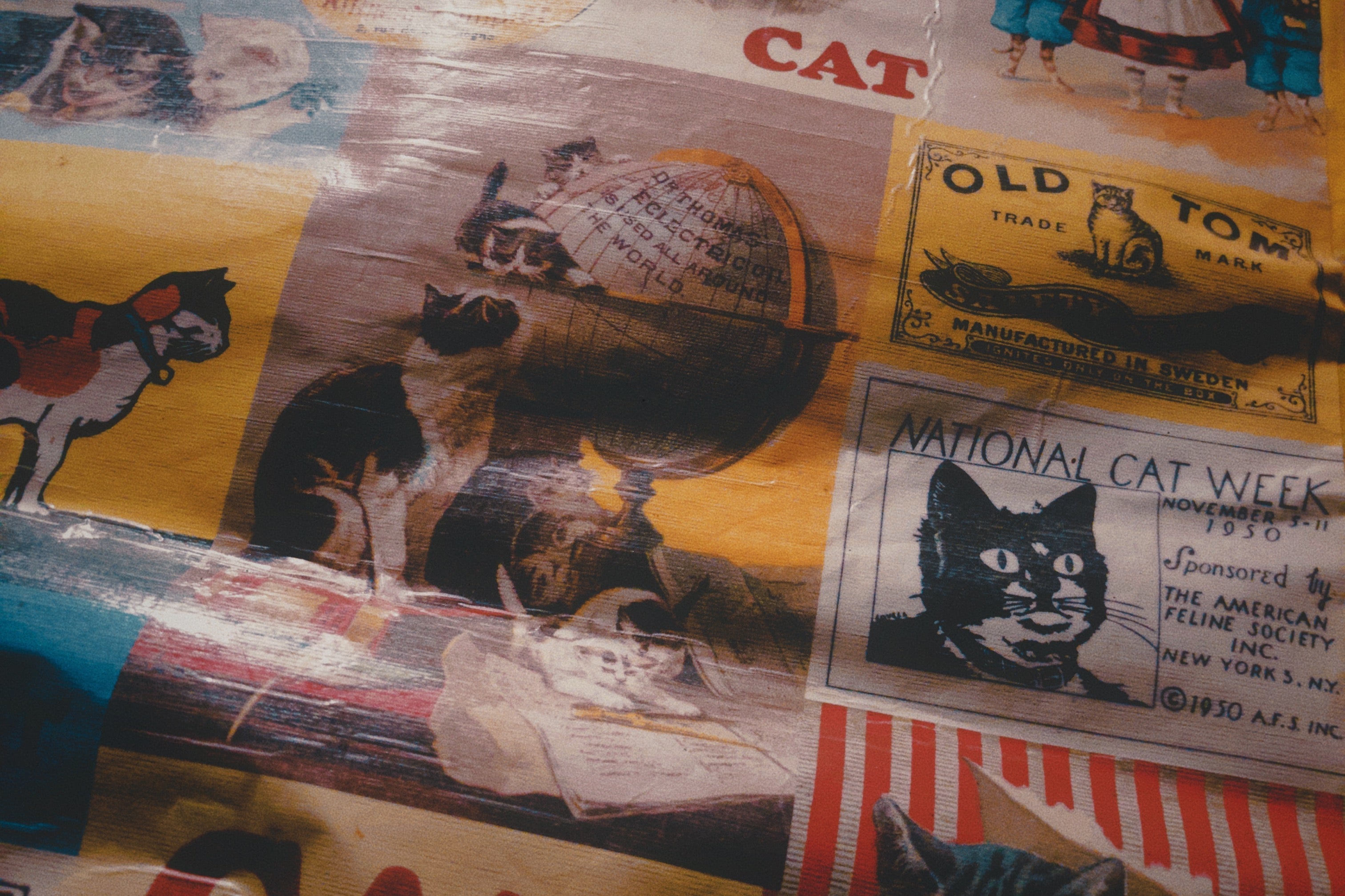 You're Not the Only One