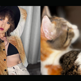Custom Cat Jacket